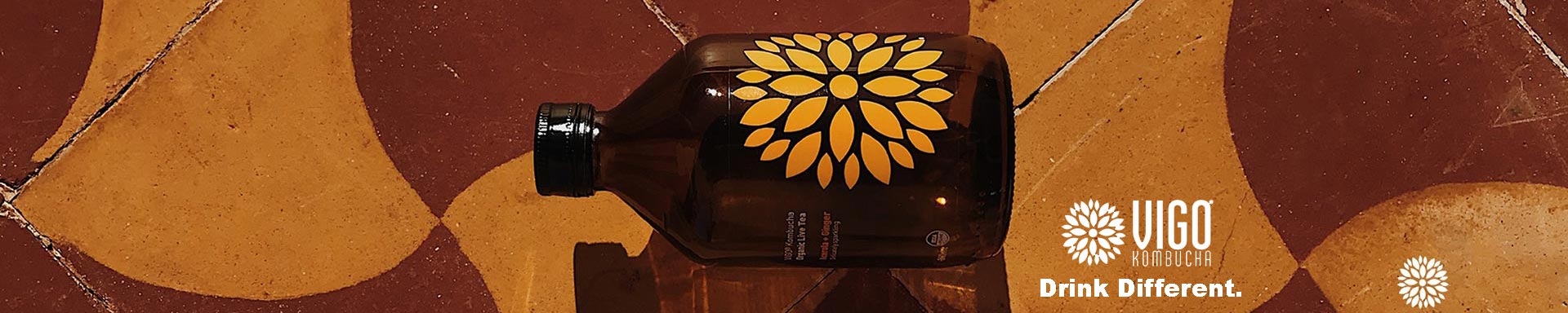 Vigo Kombucha Vigo Kombucha