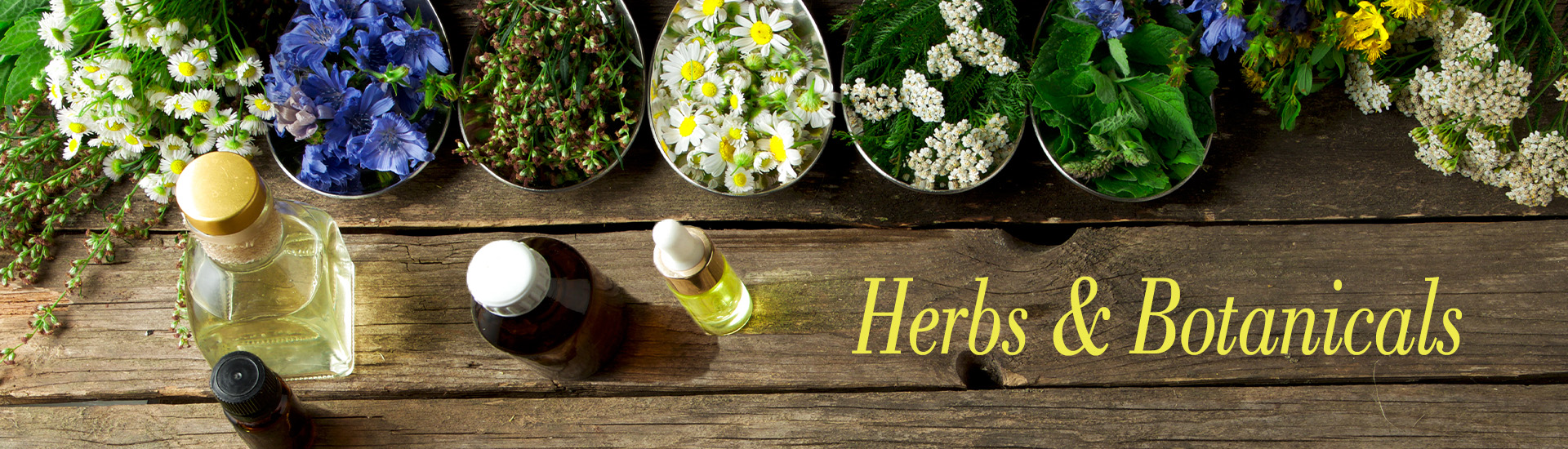 Herbal Supplements Herbal Supplements