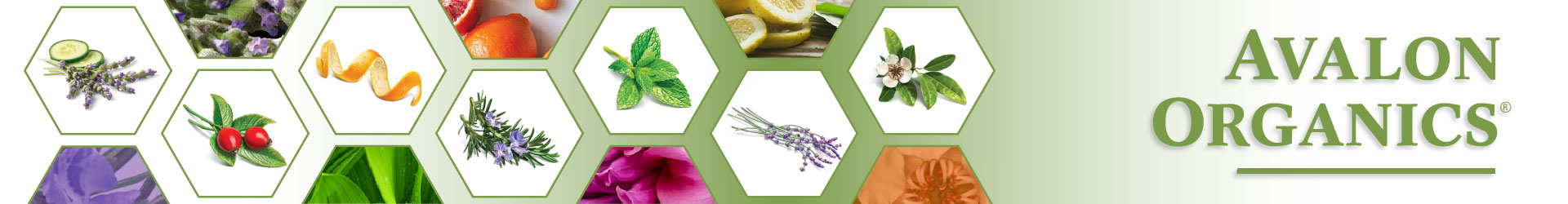 Avalon Organics Avalon Organics