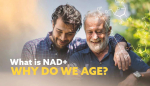 What is NAD+ and why is it important?
