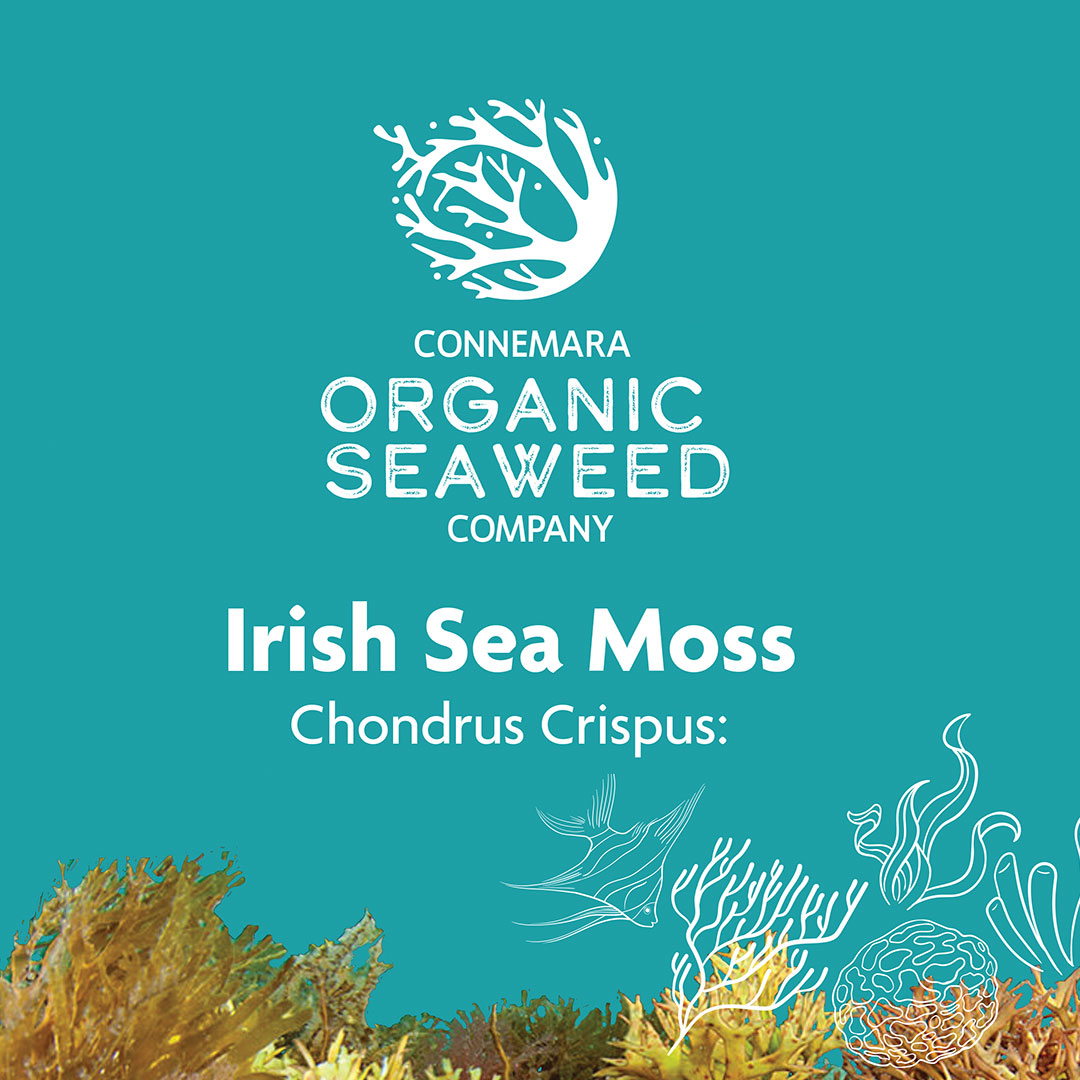 Shop Sea Moss